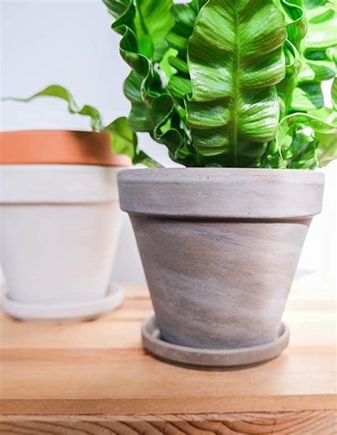 Terra Cotta Planter 4 Inch Pack Of 2 Clay Marble
