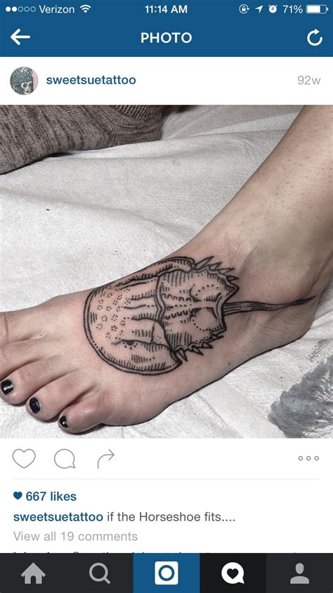 Horseshoe Crab Gay Tattoo Body Art Tattoos Sleeve Tattoos Cool