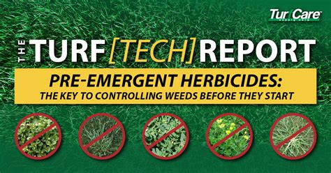 Turf Tech Report Pre Emergent Herbicides The Key To Controlling
