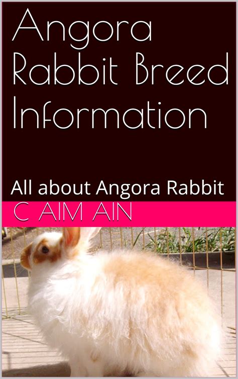 Angora Rabbit Breed Information All About Angora Rabbit By C Aim Ain