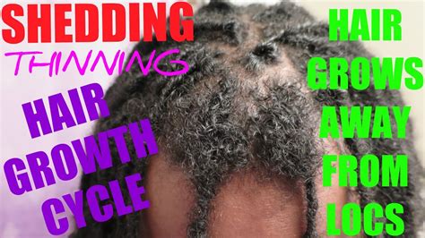 Hairstylist and founder of orlando pita play, orlando pita explains that it can lead to cuticle damage and high porosity, subsequently weakening hair and resulting in breakage. WHY ARE MY LOCS THINNING? | HAIR GROWTH CYCLE, SHEDDING ...