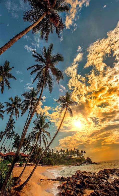 Sri Lanka Beautiful Sunset Nature Photography Beautiful Landscapes