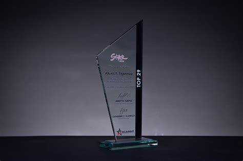 Sgl005 Star Circle Top Performer Award Plaque Awards Central