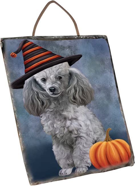 Doggie Of The Day Happy Halloween Poodle Dog Wearing Witch