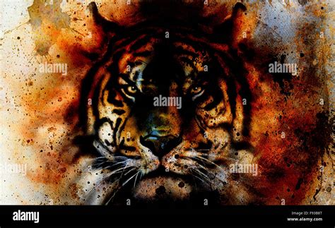 Tiger Collage On Color Abstract Background Rust Structure Wildlife