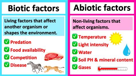 Biotic Abiotic Factors 10 Differences Examples