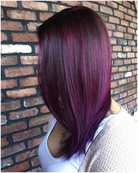 Radiant Raspberry Ion Hair Color New Best 25 Plum Highlights Ideas Only