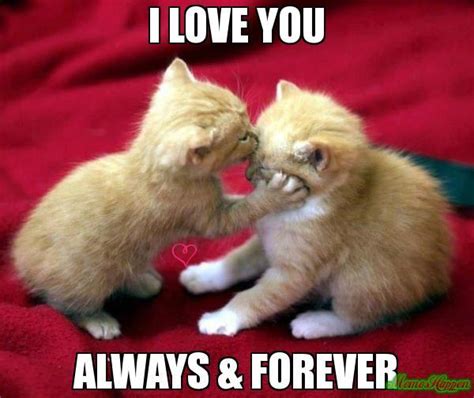 20 cute love memes that ll melt your heart word porn quotes love quotes life quotes
