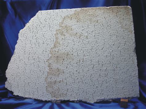 These can contain small amounts of asbestos. Asbestos Ceiling Tile Panel | Many requests have been ...
