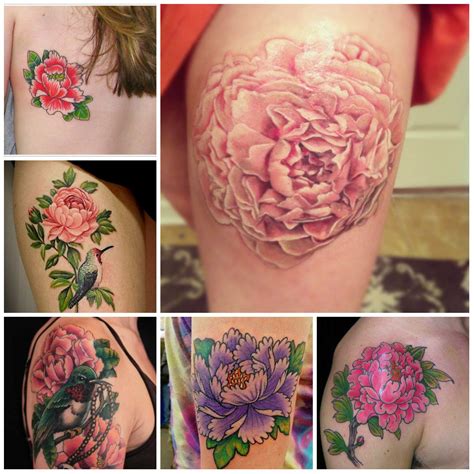 Hottest Peony Flower Tattoo Designs Peony Flower Tattoos Flower