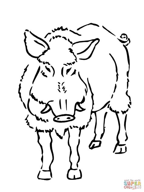 Boar Coloring Page Free Printable Coloring Pages