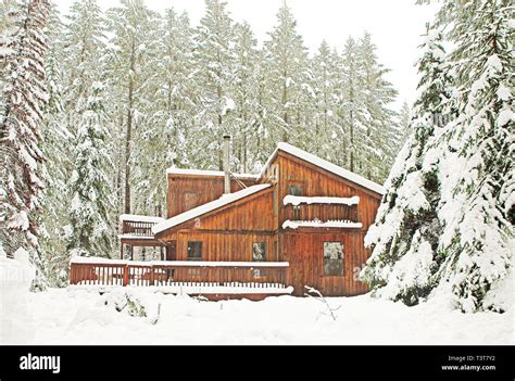 Modern Wood Cabin In Snowy Forest Stock Photo Alamy