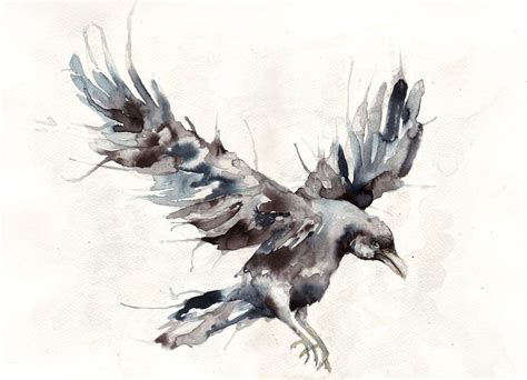 Raven Ink And Watercolor Painting Original Art 16x12 6100 Via