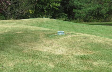 How To Make Landscape Mounds How To Correctly Word A Frequentist