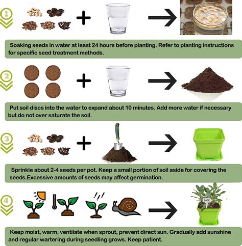 Buy Indoor Herb Grow Kit 10 Herb Seeds Garden Starter Kit With Green