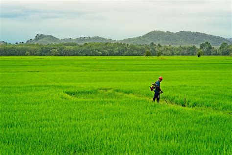 Admin, clerk, pembantu farmasi and more on indeed.com. 25 Best Things to Do in Alor Setar (Malaysia) - The Crazy ...