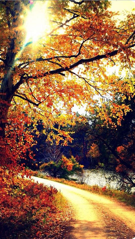 28 Breath Taking And Most Beautiful Fall Wallpaper For
