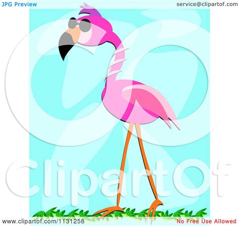 Cartoon Of A Cool Pink Flamingo Wearing Sunglasses Royalty Free