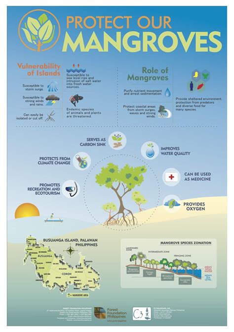 Mangrove Poster Forest Foundation Philippines