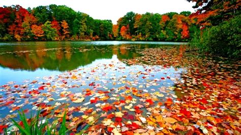 Autumn Images For Your Desktop Backgroundfall Leaves Desktop