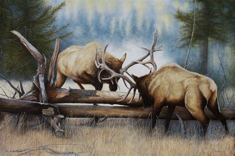 Fine Art Original Oil Wildlife Elk Bull Elk Animal Western