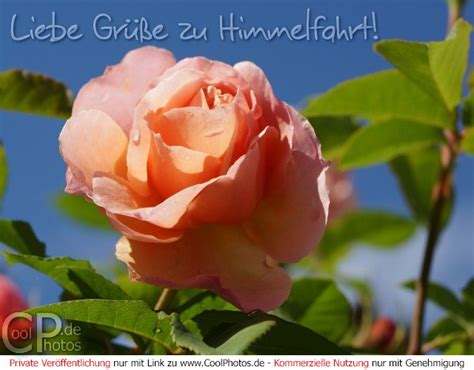 Juni für whatsapp und co. CoolPhotos.de - Himmelfahrt - Liebe Grüße zu Himmelfahrt!