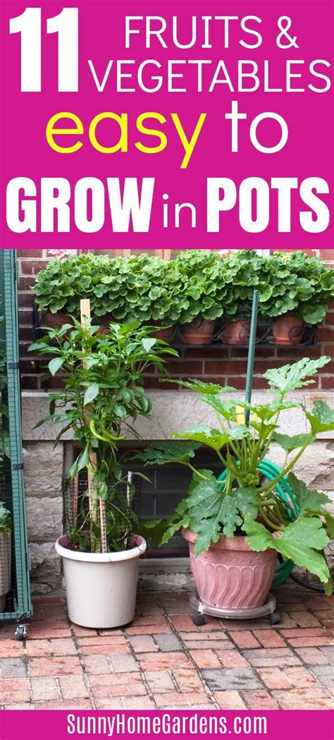 Fruit Trees In Containers Growing Vegetables In Containers Easy