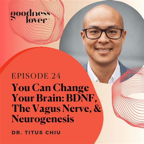 Regrowing Your Brain Bdnf The Vagus Nerve And Neurogenesis Dr Chiu