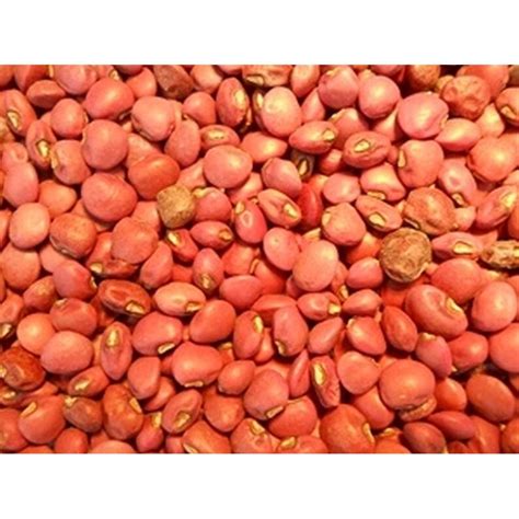 Red Ripper Cowpeas Seeds Etsy