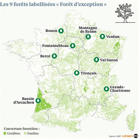 Forêt De France Archives Voyages Cartes