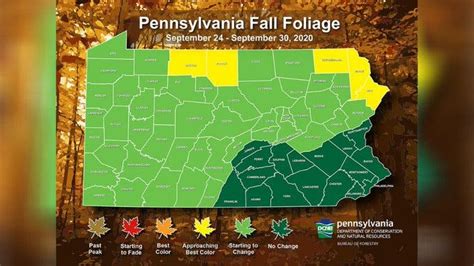 Western Pa Could See Amazing Fall Foliage This Year Pittsburgh Pa Patch