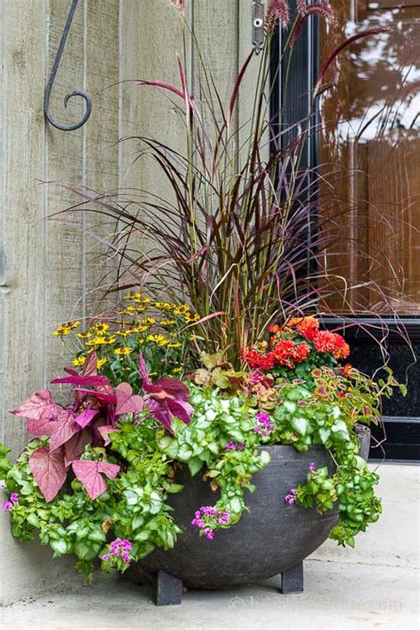 Fall Planter Ideas That Will Take You Well In To Winter