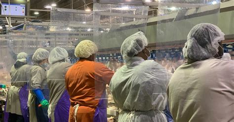 Waterloo Tyson Plant To Shut Down After Covid Outbreak Coronavirus