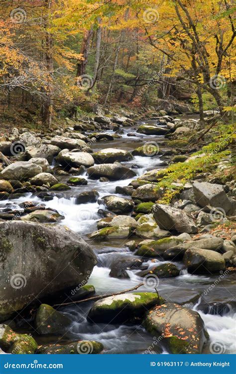 Smoky Mountain Fall Stream Stock Image Image Of Ecology 61963117