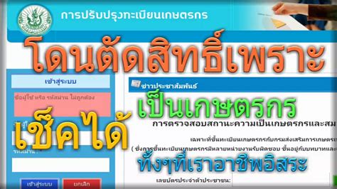 ผู้ลงทะเบียน เราชนะ.com สามารถ เช็คสิทธิ์เราชนะ ได้ตั้งแต่วันที่ 8 ก.พ. โดนตัดสิทธิ์เพราะเป็นเกษตรกร เราสามารถตรวจสอบตัวเองหรือ ...