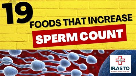 19 foods that increase sperm count youtube