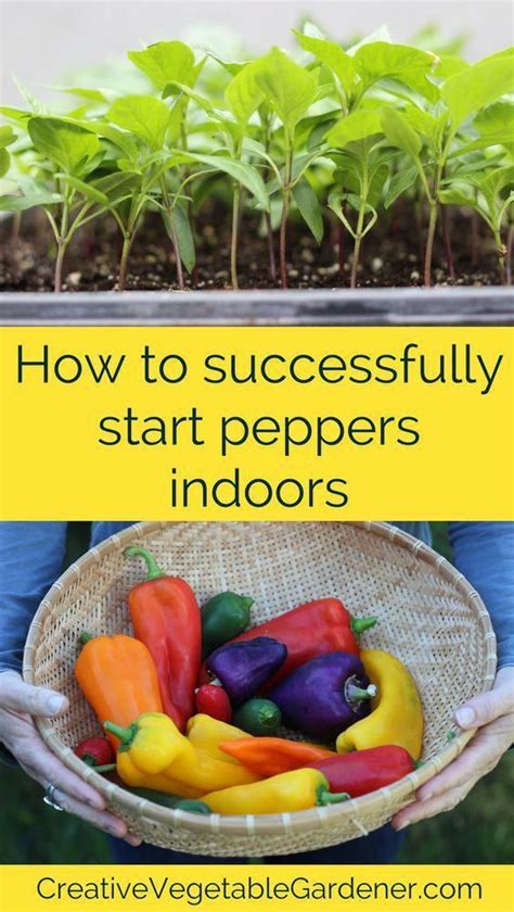 Maybe you would like to learn more about one of these? Indoor seed starting panosundaki Pin