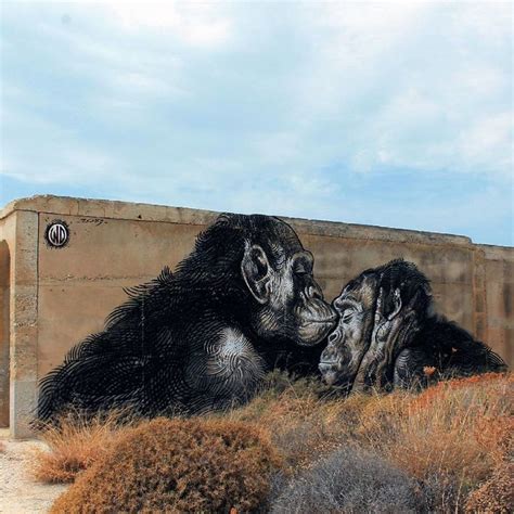 Two Gorillas Face Each Other In Front Of A Concrete Wall With Grass And