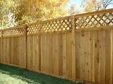 Wood Fencing With Lattice Pictures