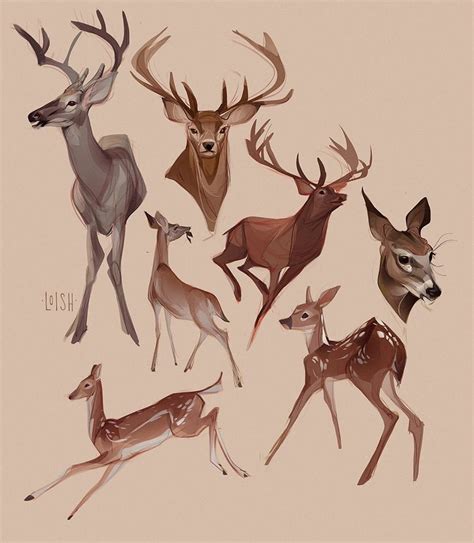 Expedition Art On Instagram A Male Deer Is Called A Buck But Some