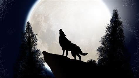 2560x1440 Wolf The Midnight Colf 1440p Resolution Hd 4k Wallpapers