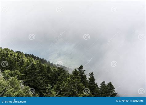 Fog Rolls Over The Mountains Of The Smokies Stock Image Image Of