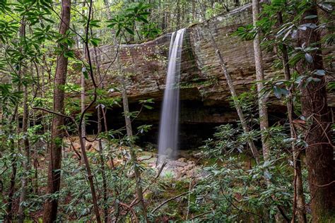 Why A Trip To Daniel Boone Forest Is A Must For Adventure Thrill