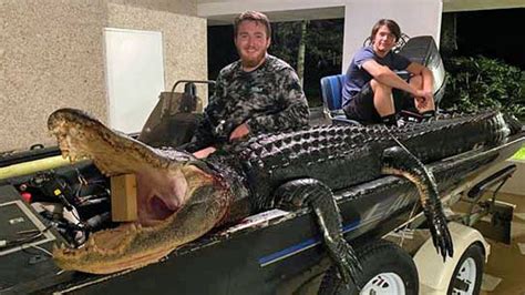 Giant Gator That Got Away Runs Out Of Luck On Lake Seminole