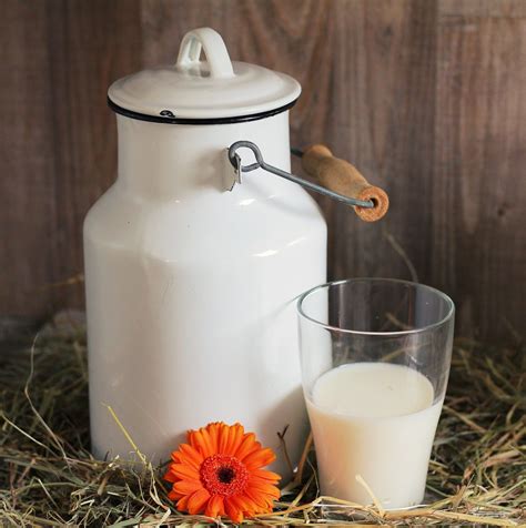 Raw Milk Vs Pasteurized Milk A Look At The Research — Saint Johns