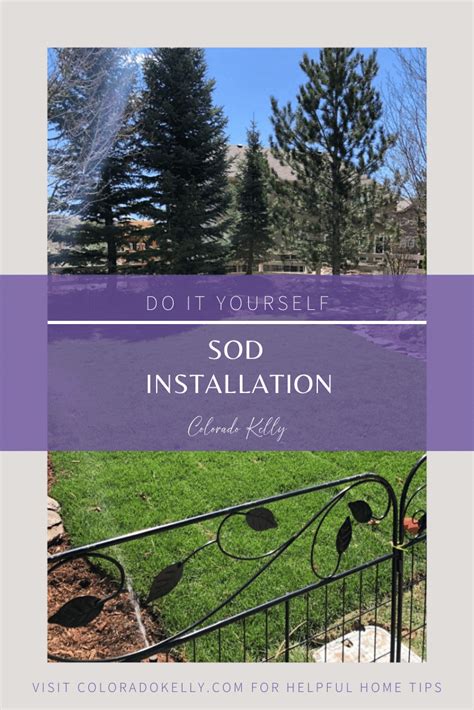 Those kick type sod cutters are expensive at $300. DIY Sod Installation (2020) | Sod installation, Installation, Landscaping business