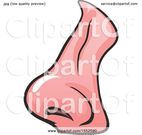The Best Free Nose Clipart Images Download From 168 Free Cliparts Of