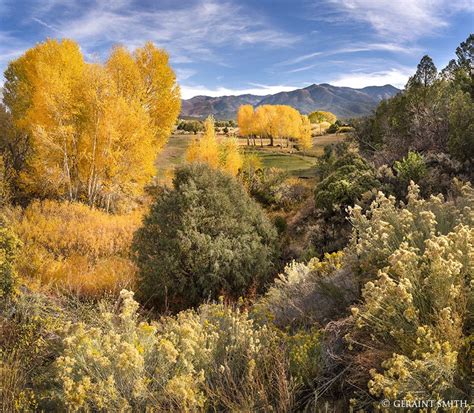 Fall Color In The San Cristobal Valley Northern New Mexico