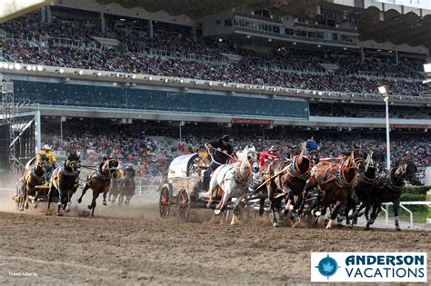 Calgary Stampede Tour Enjoy The Rodeo And Chuckwagon Races