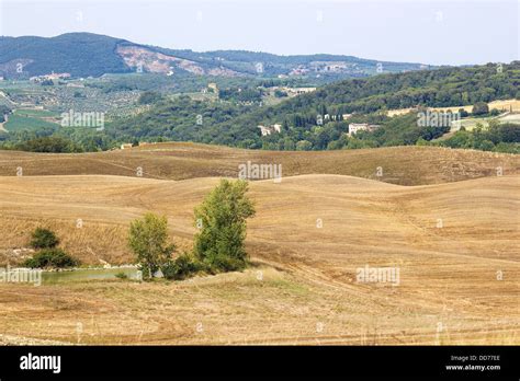 Typical Tuscan Landscape Stock Photo Alamy